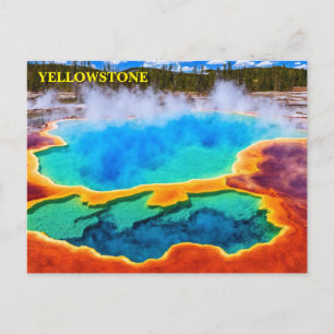 Yellowstone National Park Postcard
