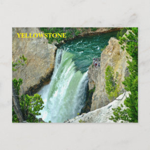 Yellowstone National Park Postcard
