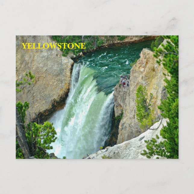 Yellowstone National Park Postcard (Front)