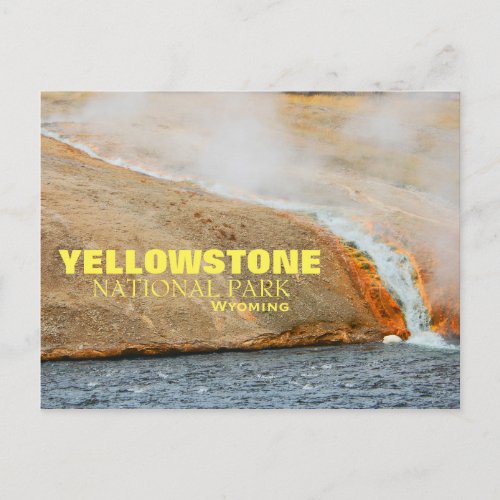 Yellowstone National Park Postcard