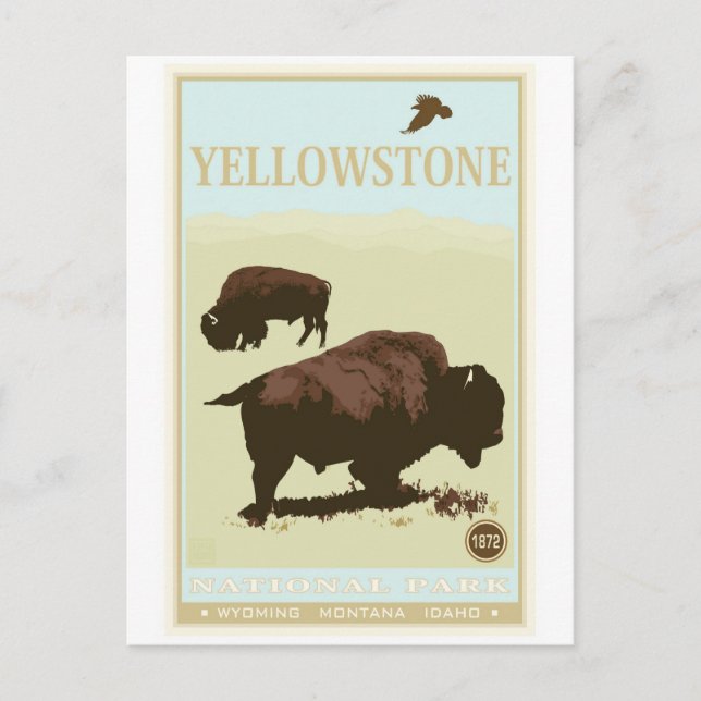 Yellowstone National Park Postcard (Front)