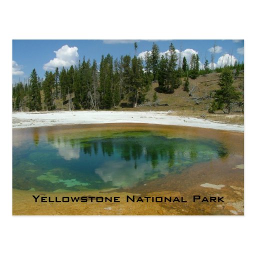 Yellowstone National Park Postcard | Zazzle