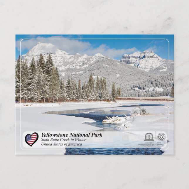 Yellowstone National Park - Soda Butte Creek Postcard (Front)