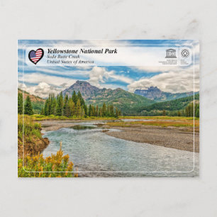 Yellowstone National Park - Soda Butte Creek Postcard