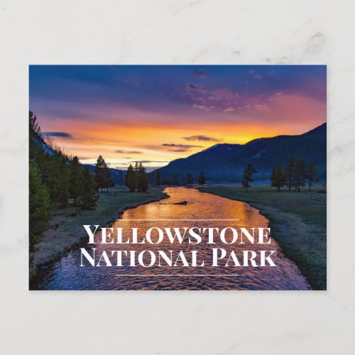 Yellowstone National Park Souvenir Postcard