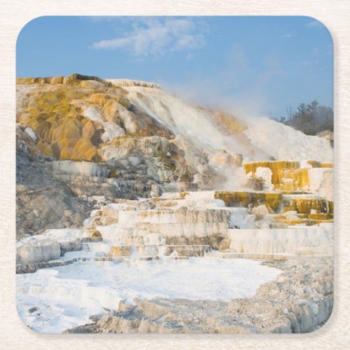 Yellowstone National Park Square Paper Coaster