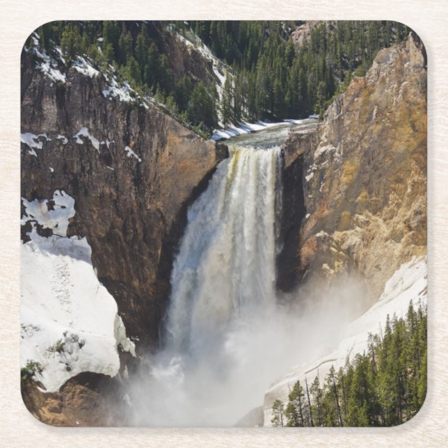 Yellowstone National Park Square Paper Coaster (Front)