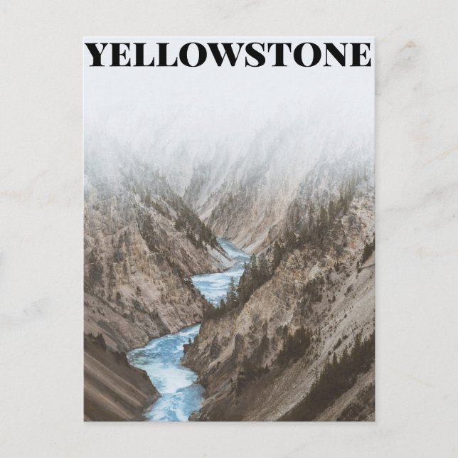 Yellowstone National Park, United States Postcard (Front)