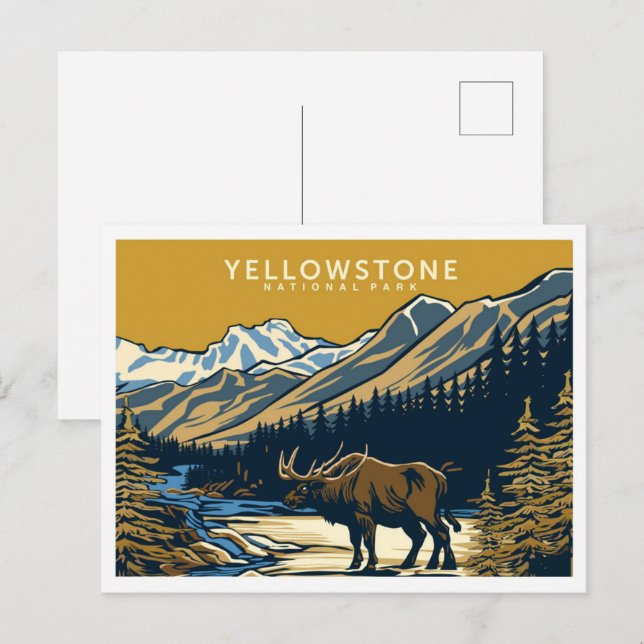 Yellowstone National Park United States Travel Postcard (Front/Back)