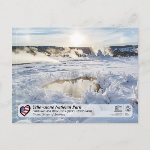 Yellowstone National Park _ Upper Geyser Basin Postcard
