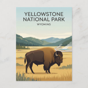 Yellowstone National Park USA Postcard