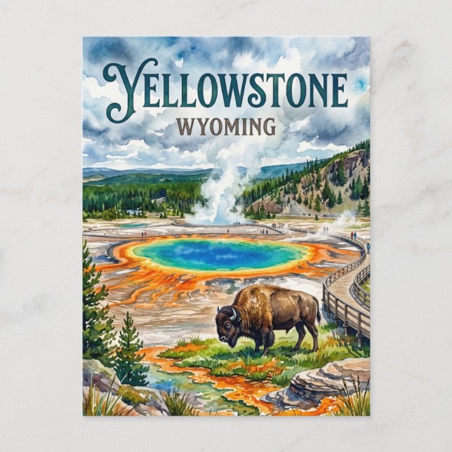 Yellowstone National Park USA Postcard (Front)