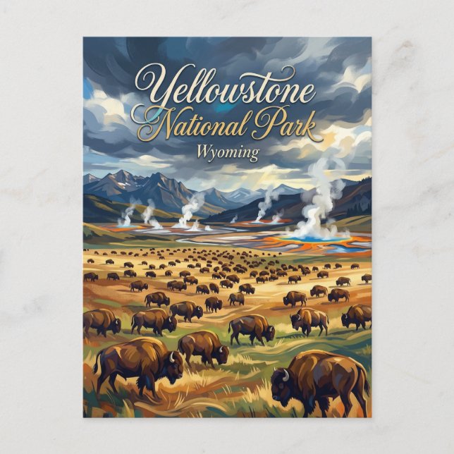 Yellowstone National Park USA Postcard (Front)