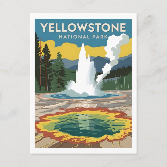 Yellowstone National Park vintage Postcard (Front)