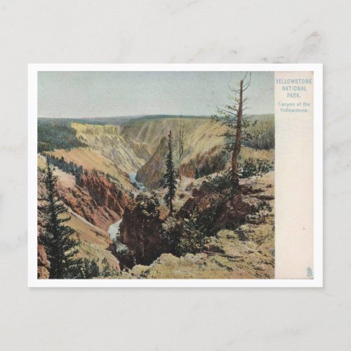 Yellowstone National Park Vintage Postcard