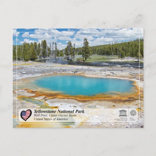 Yellowstone National Park _ Wall Pool Postcard