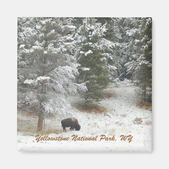Yellowstone National Park, WY Magnet (Front)