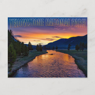 Yellowstone National Park Wyoming at Sunset Stream Postcard
