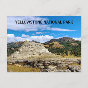 Yellowstone National Park Wyoming Postcard