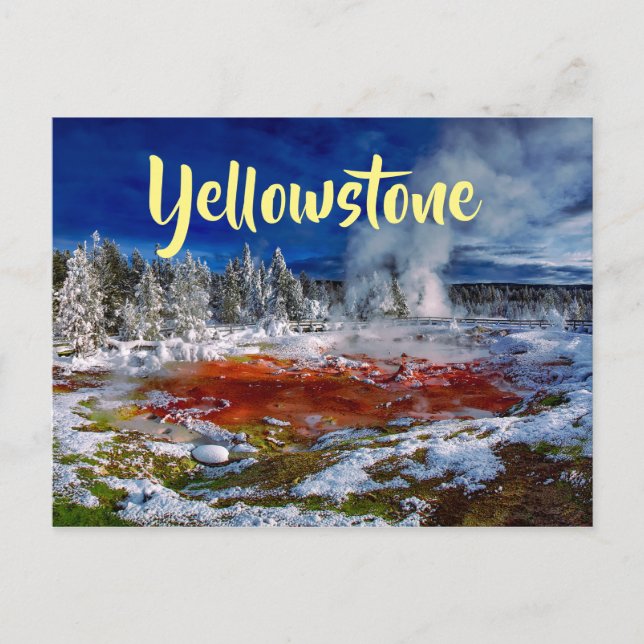 Yellowstone National Park Wyoming Postcard (Front)