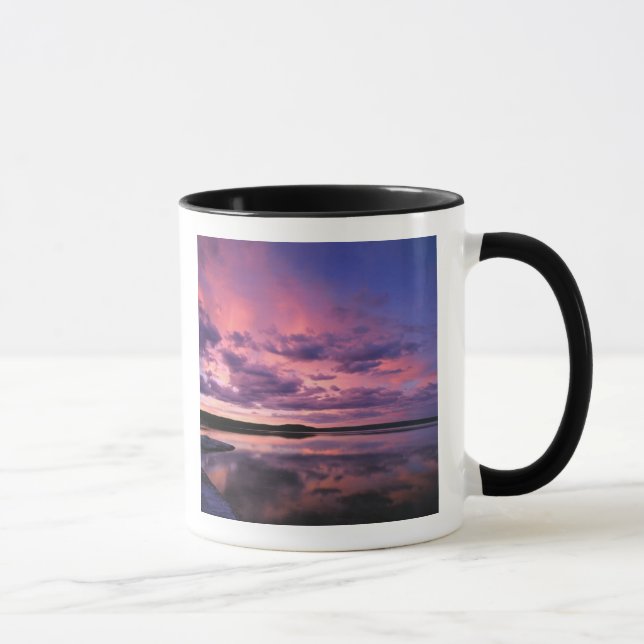 Yellowstone National Park, Wyoming. USA. Mug (Right)