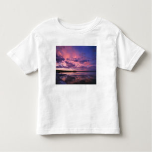 Yellowstone National Park, Wyoming. USA. Toddler T-shirt