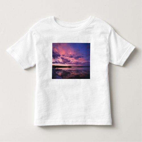 Yellowstone National Park Wyoming USA Toddler T_shirt