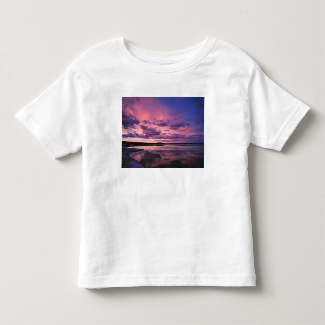 Yellowstone National Park, Wyoming. USA. Toddler T-shirt (Front)