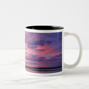 Yellowstone National Park, Wyoming. USA. Two-Tone Coffee Mug