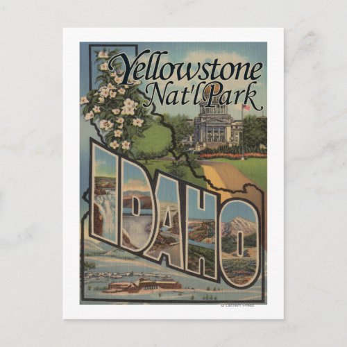 Yellowstone Natl Park Idaho Postcard