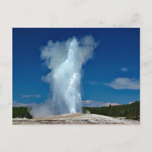 Yellowstone Old Faithful Landscape Photo Postcard