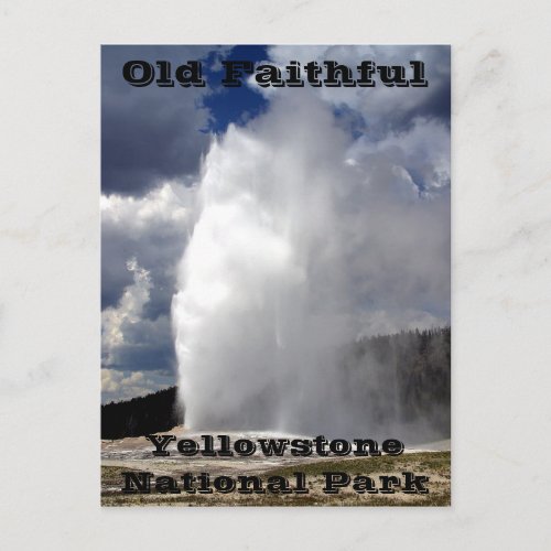 Yellowstone Old Faithful Postcard