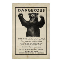 Yellowstone Park 1959 Dangerous Bear