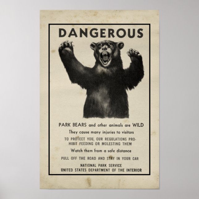 Yellowstone Park 1959 Dangerous Bear Poster (Front)