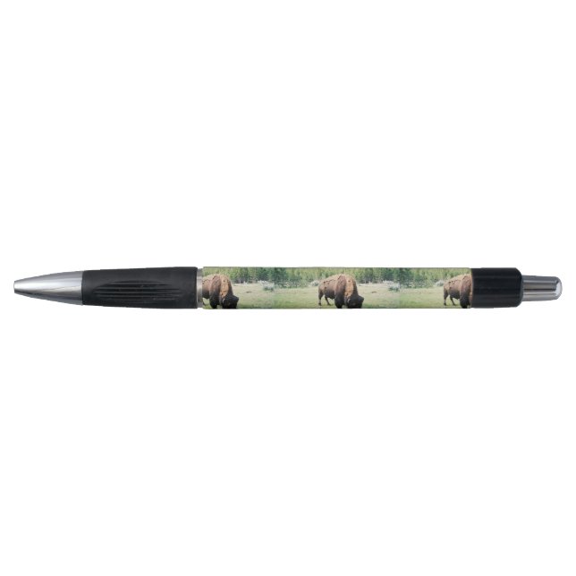 Yellowstone Park Bison Pen (Front)