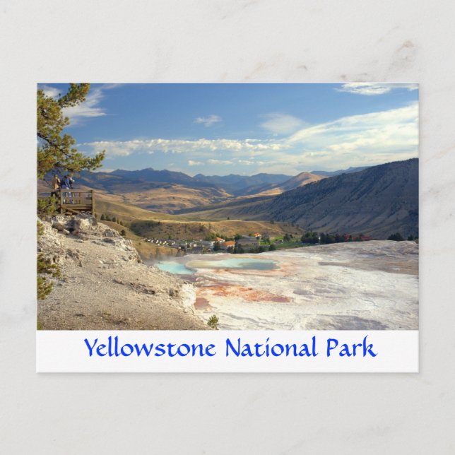 Yellowstone Park Mammoth Hot Springs Post Card (Front)