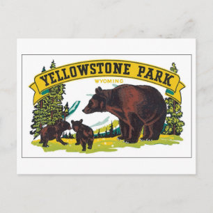 Yellowstone Park, Wyoming Postcard