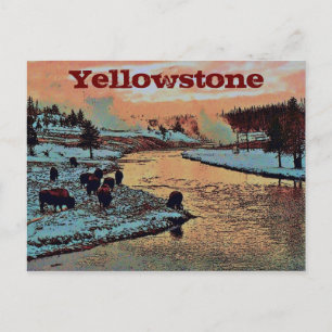 Yellowstone Postcard
