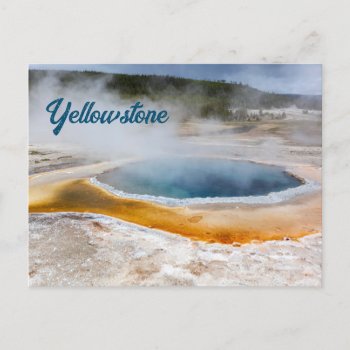Yellowstone Postcard by bluerabbit at Zazzle