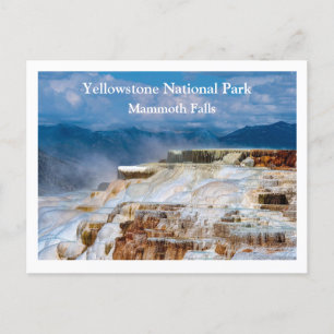 Yellowstone Postcard