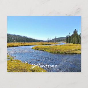Yellowstone postcard