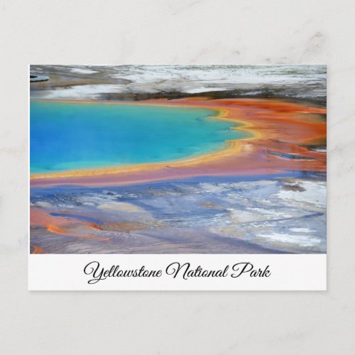 Yellowstone Prismatic Spring Wyoming Post Card
