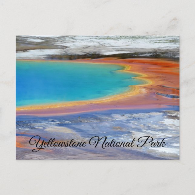 Yellowstone Prismatic Spring Wyoming Post Card (Front)