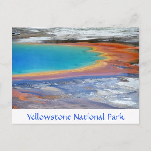 Yellowstone Prismatic Spring Wyoming Post Card