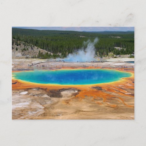 Yellowstone Prismatic Spring Wyoming USA Postcard