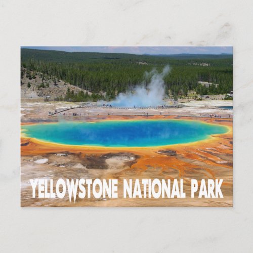 Yellowstone Prismatic Spring Wyoming USA Postcard