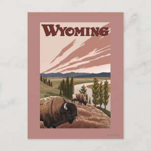 Yellowstone River Bison Vintage Travel Poster Postcard