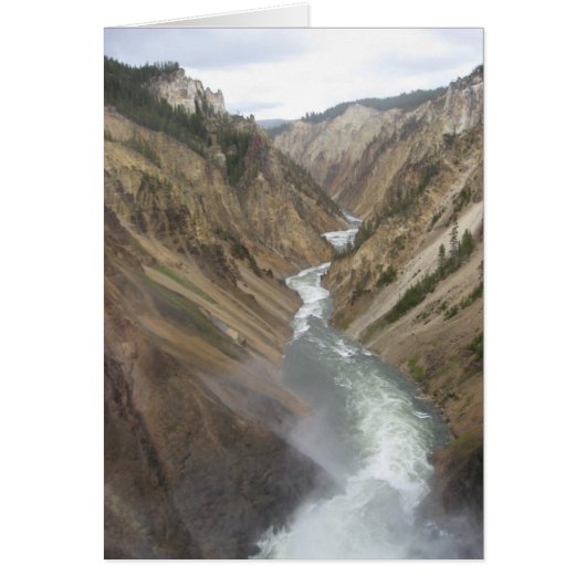 Yellowstone River Cards (Front)