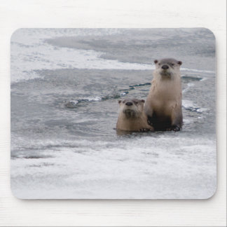 Yellowstone River Otters Mouse Pad