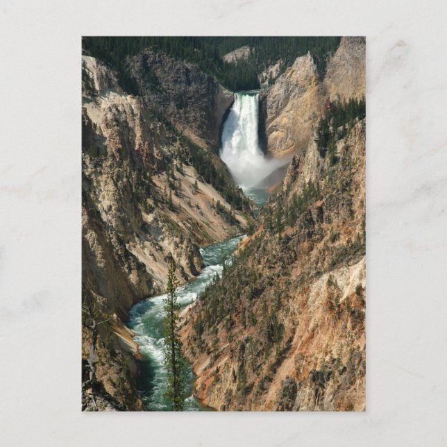 Yellowstone River Waterfall Postcard (Front)